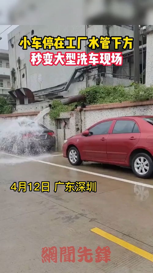 大洗汽车多少钱