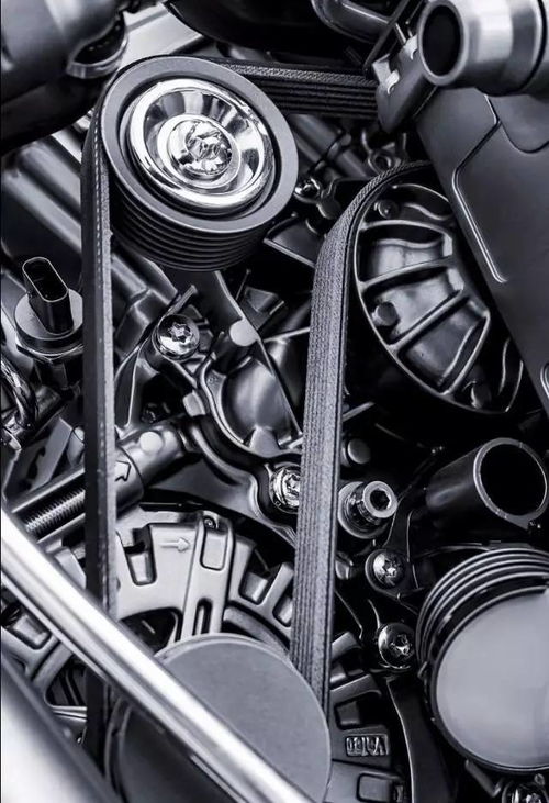 汽车皮带多少钱一个 汽车皮带多少钱一个