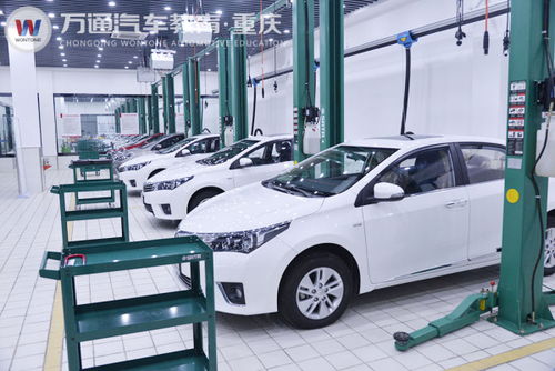 重庆汽车培训收费多少