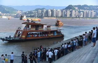 青岛轮渡汽车多少钱