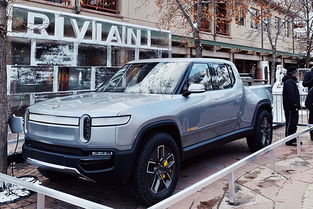 法国汽车投资多少亿美元