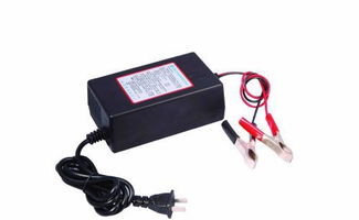 汽车蓄电池充电器多少钱