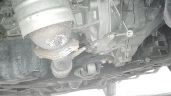 汽车底盘防腐多少钱