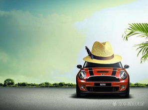 小米迷你小汽车多少钱 小米迷你小汽车多少钱