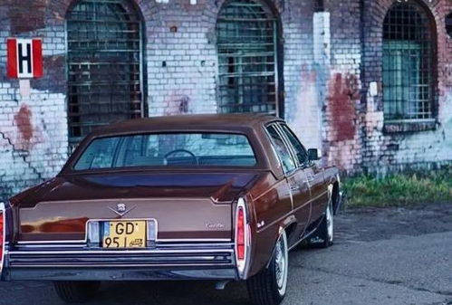 美国租车公司有多少汽车