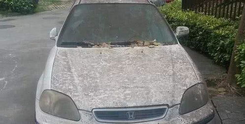 汽车停多少公里合适报废