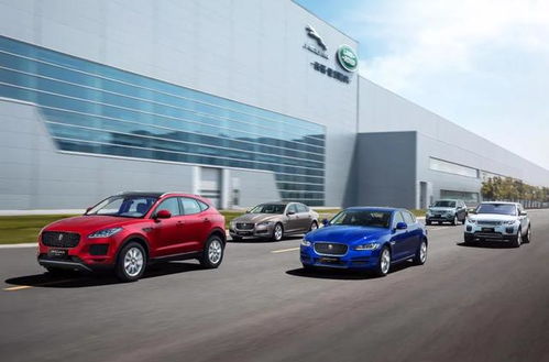 小康汽车员工总数有多少