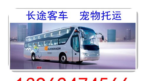 涡阳到常州汽车多少钱 涡阳到常州汽车多少钱