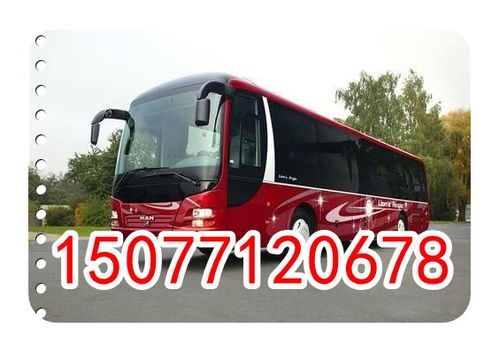 大余到赣州汽车多少钱 大余到赣州汽车多少钱