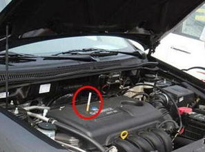 汽车能带多少香烟 汽车能带多少香烟