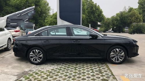 b级汽车有多少油