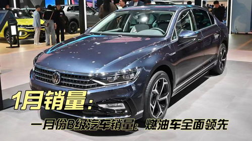 b级汽车有多少油