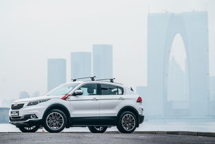 观致汽车电瓶多少瓦