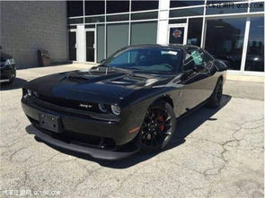 地狱猫汽车多少钱