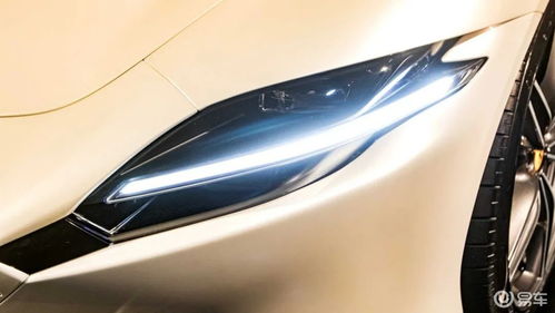 汽车全车拉皮多少钱