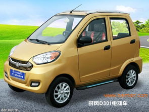 时风电动汽车多少伏