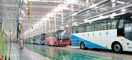 新能源汽车中客车占比多少