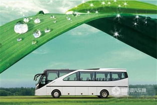 新能源汽车中客车占比多少