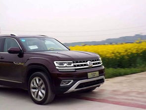 多少工资能养途昂汽车 多少工资能养途昂汽车