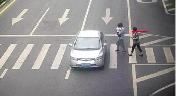 汽车撞人全责赔付多少