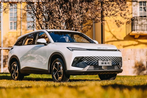 北京汽车打气多少钱