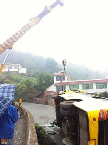 高县到宜宾汽车多少钱 高县到宜宾汽车多少钱