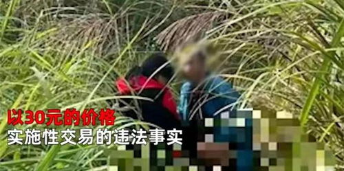 贪官收茅台让家人埋地里 上面种玉米