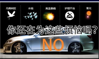 汽车液体玻璃多少钱