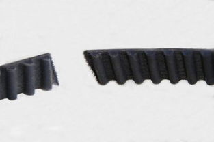 换一条汽车皮带多少钱