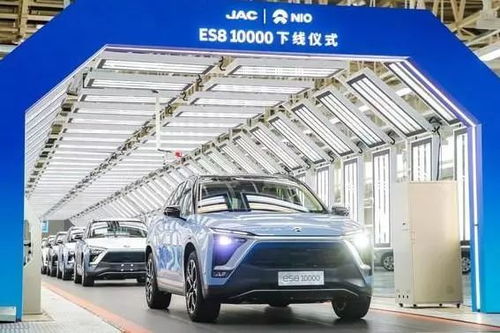 纯电汽车每年保险交多少