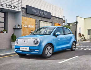 长城汽车欧拉r1多少钱 长城汽车欧拉r1多少钱