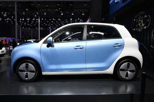 长城汽车欧拉r1多少钱 长城汽车欧拉r1多少钱