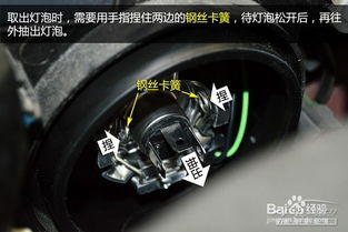 换汽车大灯灯泡多少钱