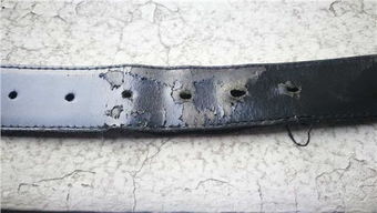 汽车有多少条皮带