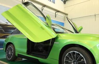 重庆氢能源汽车投资多少