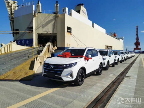 舟山有多少汽车