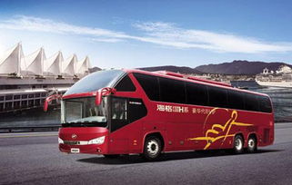 北京到石家庄汽车多少钱