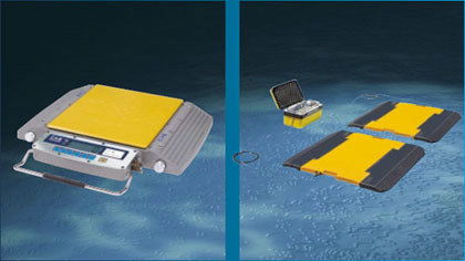 上海汽车整车轴重多少