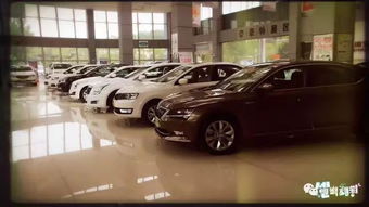 汽车强制险电话多少