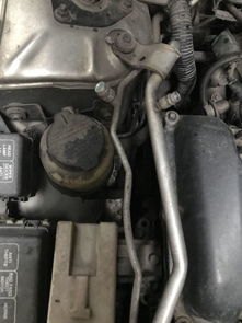 汽车开多少公里加雪种