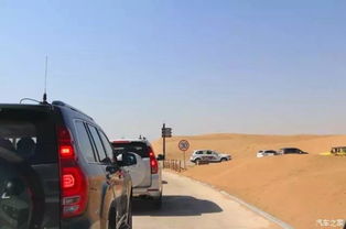 沧州到黄河汽车多少公里