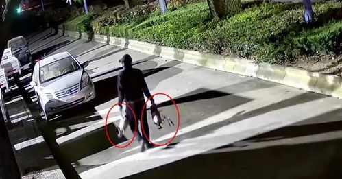 汽车销赃判多少年