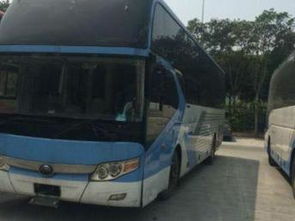 汽车梧州到东莞多少钱