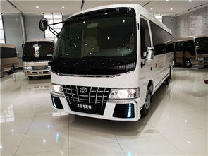 九龙汽车15座价格多少