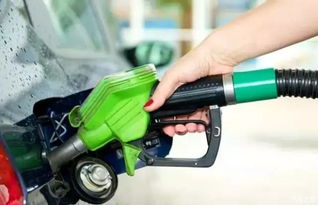 双燃料汽车喷头多少钱