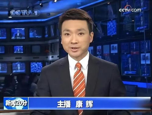 主持人康辉有新身份