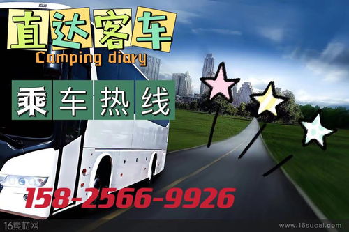 徐州到温州汽车多少钱