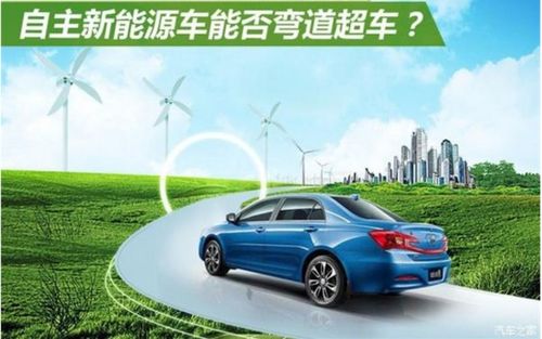 汽车尾牙多少钱 汽车尾牙多少钱