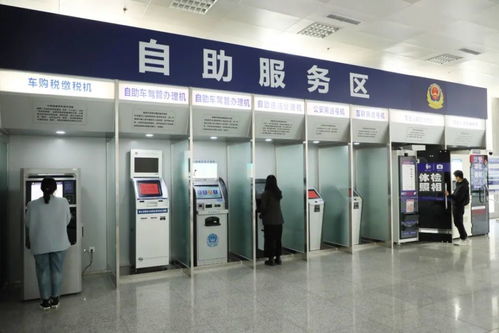 小型汽车纳税多少