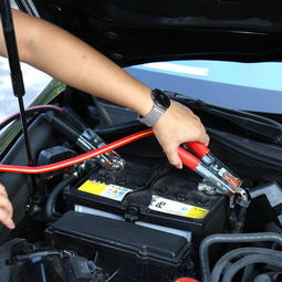 汽车没电了维修多少钱